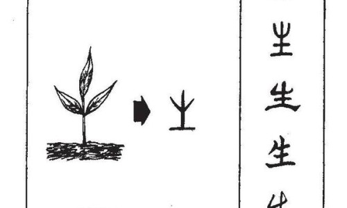 葡萄籽精华素的吃法和用量-葡萄籽精华素的吃法网 - 葡萄籽精华的作用,葡萄籽精华的作用